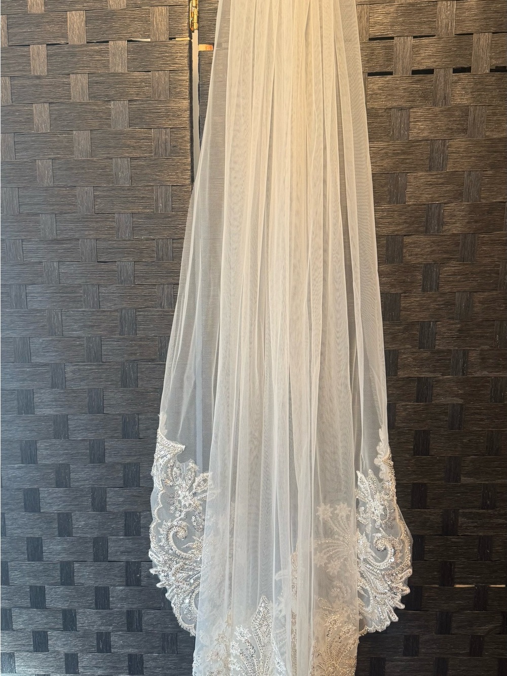 Elegant White Bridal Veil with Lace Applique